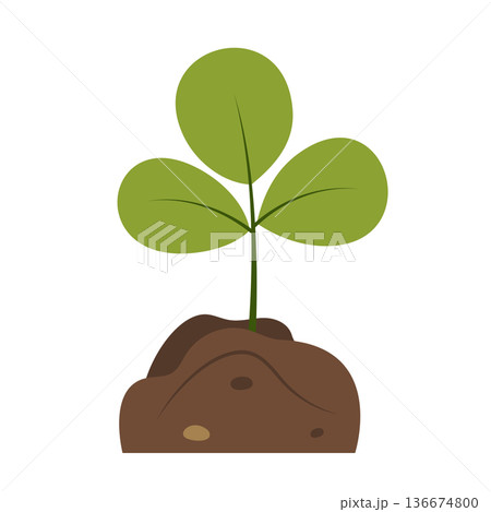 Vector illustration of green sprout or sapling growing from soil. Concept of growth, new life, development, ecology, and sustainability. Vector illustration of green sprout or sapling growing from soil. Concept of growth, new life, development, ecology, and sustainability. 136674800