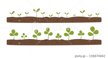 Green sprouts growing from soil. Concept of growth, new life, development, ecology, and sustainability. Spring illustration for design, decoration, border, banner, invitation, sale. Green sprouts growing from soil. Concept of growth, new life, development, ecology, and sustainability. Spring illustration for design, decoration, border, banner, invitation, sale. 136674802