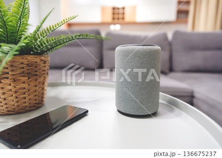 Smart speaker device in living room. Smart home. Smart speaker device in living room. Smart home. 136675237