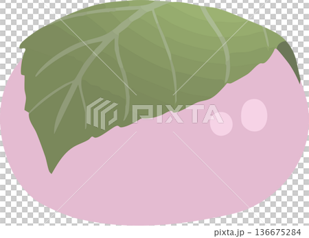 道明寺櫻餅插圖 - 春季日式甜點，手繪向量圖 136675284