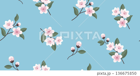 Seamless pattern with cherry blossom flowers on blue background. Fabric print. 136675850