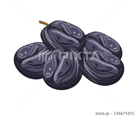 Dried plums isolated on a white background. Food illustration. Dried plums isolated on a white background. Food illustration. 136675855