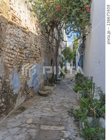 Timeless Echoes: A Walk Through Hammamets Winter Medina Timeless Echoes: A Walk Through Hammamets Winter Medina 136675939