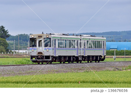 富良野線　西中－ラベンダー畑　JR北海道　キハ150-8＋キハ150-9（旭川） 136676036