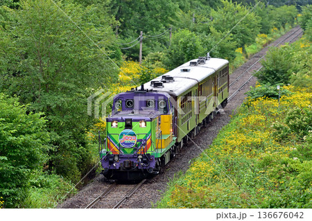 富良野線　美馬牛－美瑛　JR北海道　DE15-1535（旭川）＋510系　富良野・美瑛ノロッコ 136676042