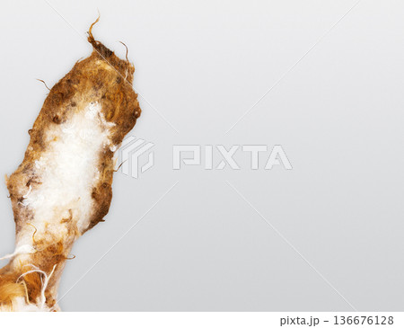 Close up of a handmade felted bunny ear made from carded wool and sheep locks, placed on the left against a clean white background Close up of a handmade felted bunny ear made from carded wool and sheep locks, placed on the left against a clean white background 136676128