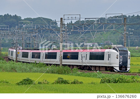 総武本線 佐倉-物井 JR東日本 E259系 Ne008編成(鎌倉) 成田エクスプレス NEX 総武本線 佐倉-物井 JR東日本 E259系 Ne008編成(鎌倉) 成田エクスプレス NEX 136676260