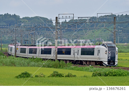 総武本線　佐倉－物井　JR東日本　E259系　Ne014編成（鎌倉）　成田エクスプレス　NEX 136676261