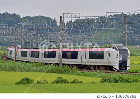 総武本線　佐倉－物井　JR東日本　E259系　Ne011編成（鎌倉）　成田エクスプレス　NEX 136676262