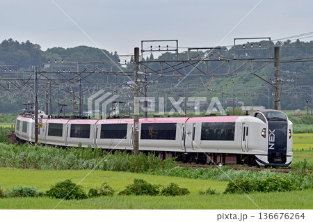 総武本線　佐倉－物井　JR東日本　E259系　Ne009編成（鎌倉）　成田エクスプレス　NEX 136676264