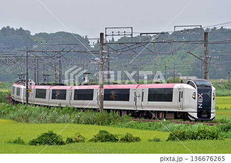 総武本線 佐倉-物井 JR東日本 E259系 Ne001編成(鎌倉) 成田エクスプレス NEX 総武本線 佐倉-物井 JR東日本 E259系 Ne001編成(鎌倉) 成田エクスプレス NEX 136676265