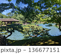 木陰から見る池 136677151
