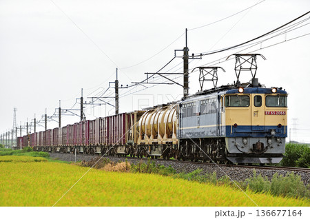 成田線 滑河-下総神崎 JR貨物 EF65-2066(新鶴見) 成田線 滑河-下総神崎 JR貨物 EF65-2066(新鶴見) 136677164