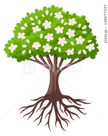 Tree blooming. Flower blossom on green plant icon 136677347