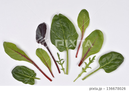 Various fresh salad leaves on white background 136678026