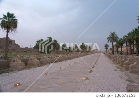 古代の面影を残すルクソールの聖なる道、ライトアップされたスフィンクス像の列 136678155