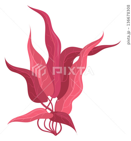 Red alga cartoon icon. Wild marine flora 136678308