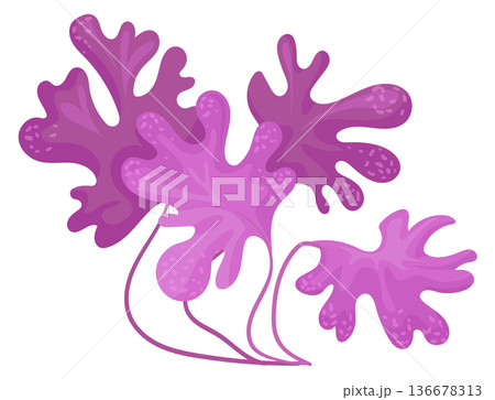 Aquarium plant. Water botany decoration cartoon icon Aquarium plant. Water botany decoration cartoon icon 136678313