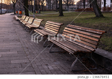 Empty Park Benches in Evening Light Empty Park Benches in Evening Light 136678451