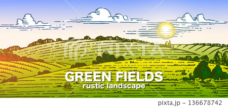 Rustic meadow hand drawn village landscape illustration with fields. Beautiful scentic view for milk 136678742