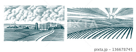 Rustic meadow hand drawn village landscapes illustrations with fields, house, cow oak and windmill 136678745