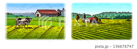 Rustic meadow hand drawn village landscape with a cow illustration with fields. Beautiful scentic 136678747