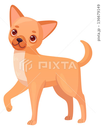 Chihuahua puppy. Cute adorable dog cartoon character 136679149