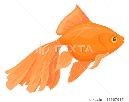 Goldfish cartoon icon. Golden underwater animal. Exotic fish 136679174