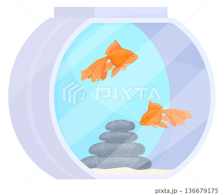 Aquarium with goldfish. Glass bowl cartoon exotic fish 136679175