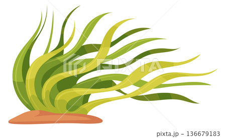 Green water plant. Marine seaweed cartoon icon 136679183