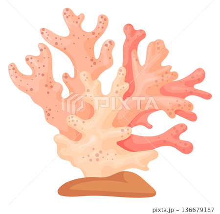 Reef branch. Ocean wildlife fauna cartoon icon Reef branch. Ocean wildlife fauna cartoon icon 136679187