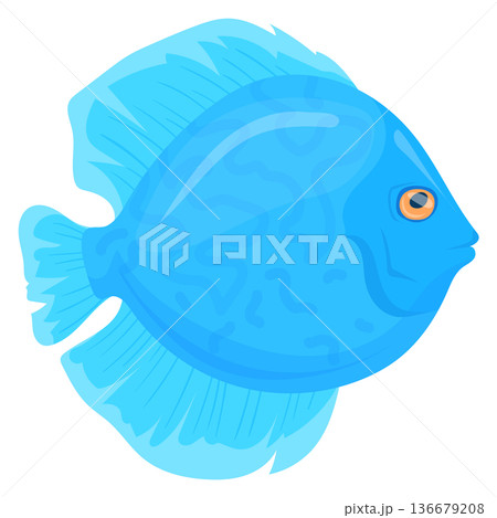 Discus fish color icon. Blue exotic animal 136679208
