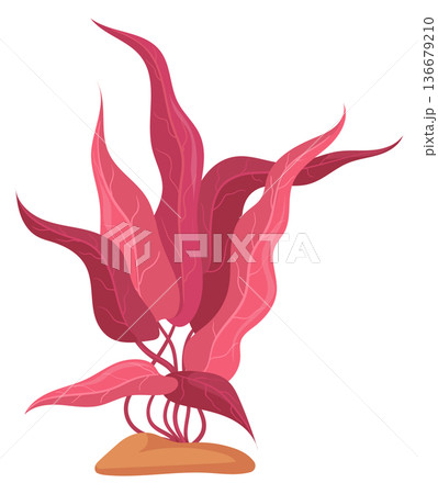 Ocean algae icon. Red leaves growing plant 136679210