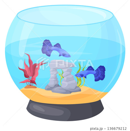 Fish glass bowl cartoon icon. Exotic pet Fish glass bowl cartoon icon. Exotic pet 136679212