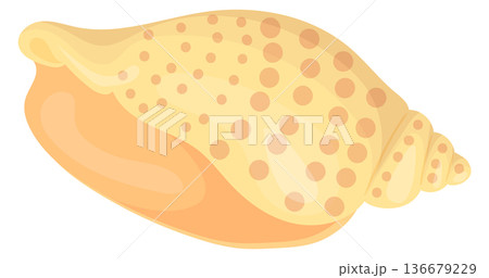 Beach shell. Exotic sea decoration cartoon icon 136679229