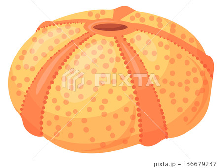 Sea urchin shell cartoon icon. Marine fauna Sea urchin shell cartoon icon. Marine fauna 136679237