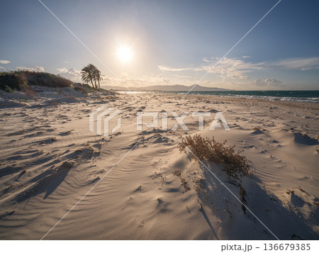 Vast Solitude: Empty Beaches Awaiting the New Season 136679385