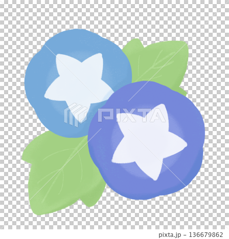 Crayon-style morning glory illustration Cute hand-drawn material of summer flowers Crayon-style morning glory illustration Cute hand-drawn material of summer flowers 136679862
