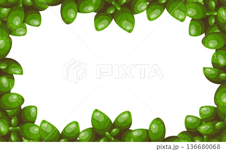 Horizontal frame with fresh basil green leaves Horizontal frame with fresh basil green leaves 136680068