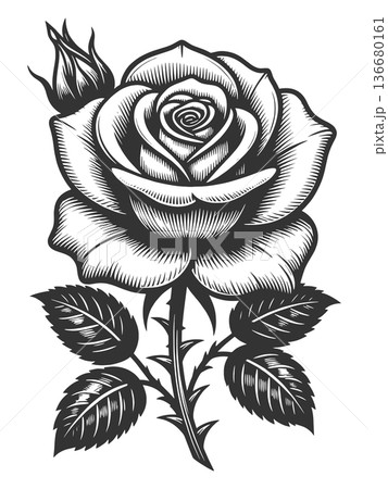 Rose Flower engraving sketch raster illustration Rose Flower engraving sketch raster illustration 136680161
