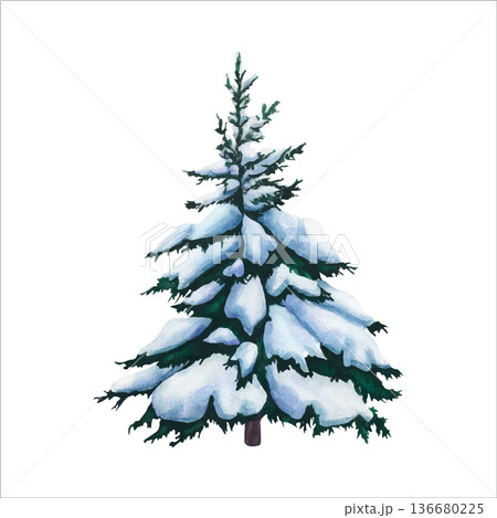 Spruce tree in the snow. Watercolor vector illustration of Fir tree covered snow on white background. Isolated of Christmas tree covered in snow. Tree of Snowy forest for design, invitation, postcard Spruce tree in the snow. Watercolor vector illustration of Fir tree covered snow on white background. Isolated of Christmas tree covered in snow. Tree of Snowy forest for design, invitation, postcard 136680225
