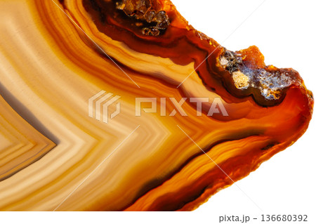 Macro mineral stone Yellow, brown Agate breed a white background 136680392
