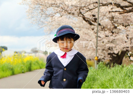 幼稚園の制服を着た幼児　入園式　卒園式 136680403