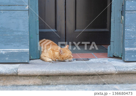 Sleeping cat at the entrance of an old Italian house. Authentic travel detail capturing everyday street life in Europe. 136680473