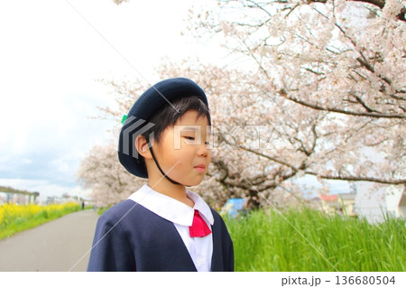 幼稚園の制服を着た幼児　入園式　卒園式 136680504