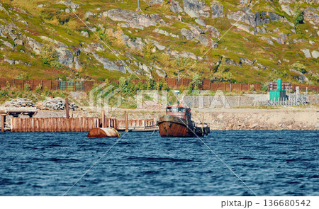 the coast of the Barents Sea, pleasure boats in the sea, the rocky shore with colourful arctic carpet of moss, yagel, Tundra at autumn 136680542