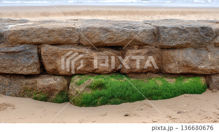 Weathered Stone Foundation Seen at a Beach With Greenery Along the Shore Near the Water 136680676