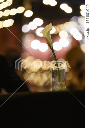 Single white calla lily in tall glass with blurred festive bokeh lights 136681049