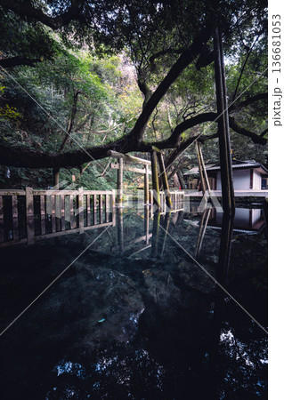 鹿島神宮 御手洗池と鳥居のリフレクション 136681053