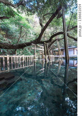 鹿島神宮 御手洗池と鳥居のリフレクション 136681054